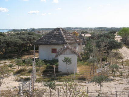 ambatomilo 2016